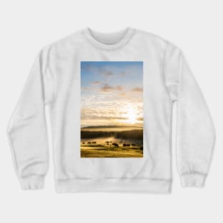 Morning Sun Crewneck Sweatshirt